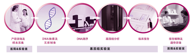 DNA檢測.jpg